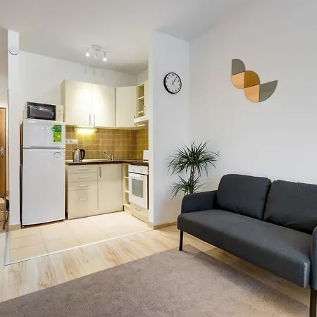 Comfy In Town * Budapesta